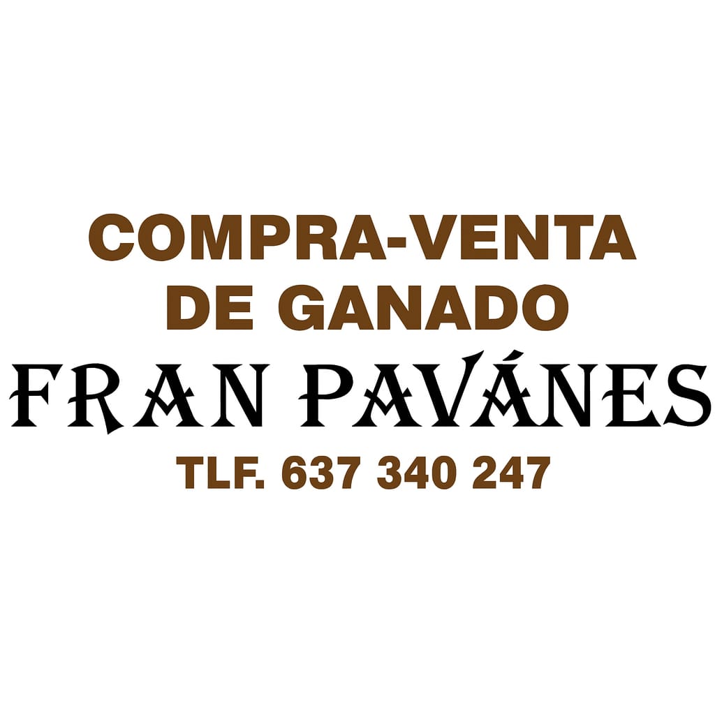 WhatsApp Image 2025-10-28 at 08.39.19 (1)